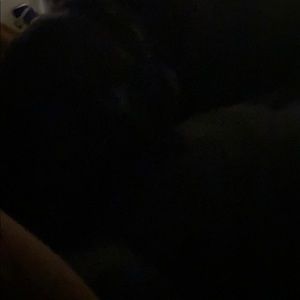 Meet your Posher, Cristina